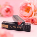 High-pigment long-wear lip gloss for professional makeup