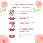 Overnight Lip Mask+ Hydrating Lip  Balm